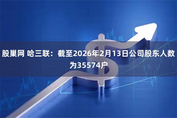 股巢网 哈三联：截至2026年2月13日公司股东人数为35574户