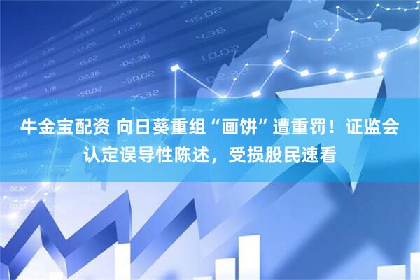 牛金宝配资 向日葵重组“画饼”遭重罚！证监会认定误导性陈述，受损股民速看