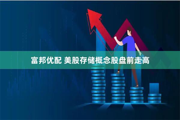 富邦优配 美股存储概念股盘前走高