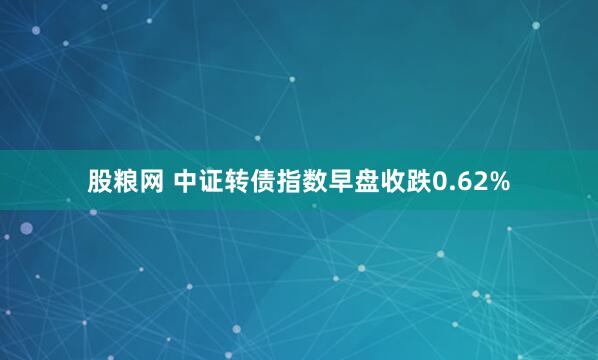 股粮网 中证转债指数早盘收跌0.62%