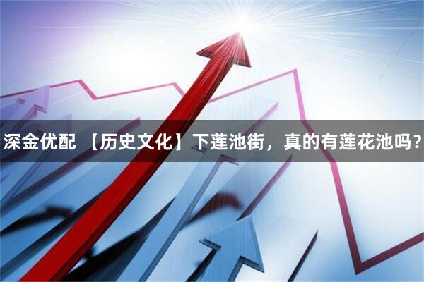 深金优配 【历史文化】下莲池街，真的有莲花池吗？