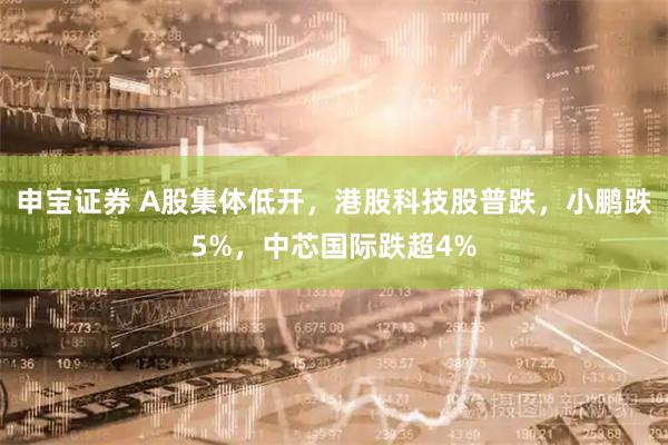 申宝证券 A股集体低开，港股科技股普跌，小鹏跌5%，中芯国际跌超4%